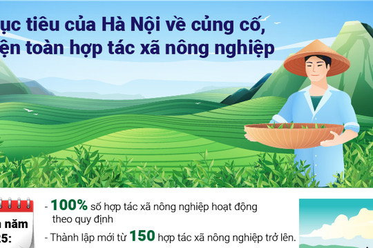 Mục tiêu của Hà Nội về củng cố, kiện toàn hợp tác xã nông nghiệp