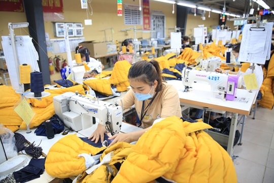 Nền kinh tế tiếp tục phục hồi, tăng trưởng cao