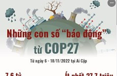 Những con số ''báo động'' từ Hội nghị COP27