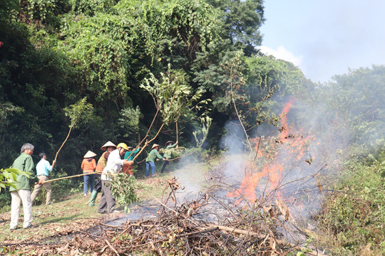 Quốc Oai huy động gần 150 người tham gia diễn tập chữa cháy rừng