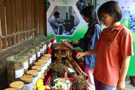 Đề xuất giải pháp gìn giữ và phát triển tinh hoa y học cổ truyền Việt Nam