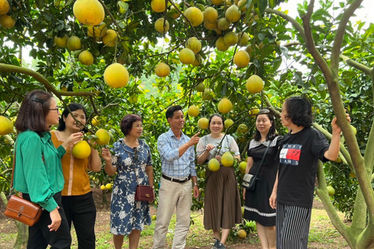 Bắc Giang: Xây dựng thương hiệu du lịch “Về miền trái ngọt”