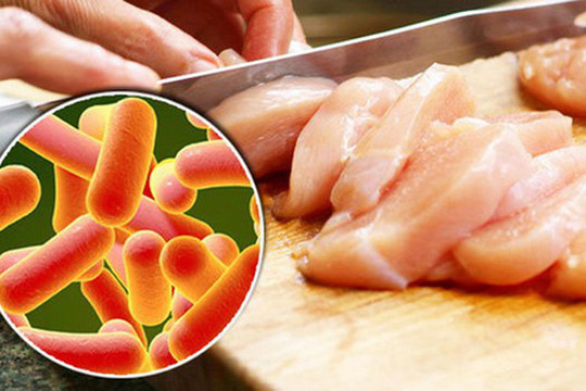 Bác sĩ tại nhà: Những loại vi khuẩn có thể gây ngộ độc thực phẩm nguy hiểm?