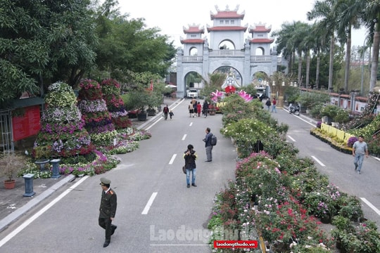 Huyện Mê Linh sẵn sàng tổ chức Festival hoa đầu tiên