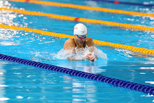 Đại hội Thể thao toàn quốc lần thứ IX: Môn bơi có thêm 5 kỷ lục được phá