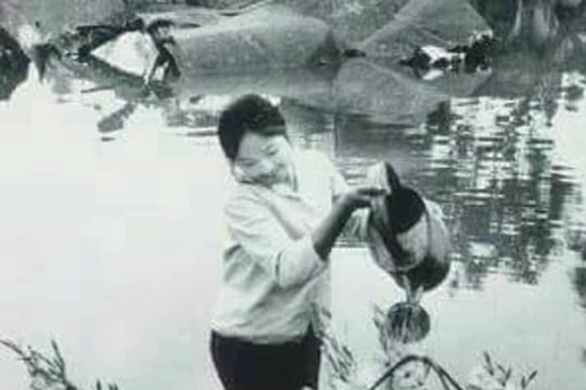 “Hà Nội - Điện Biên Phủ trên không”: Dù bom rơi nhưng hoa vẫn phải tươi