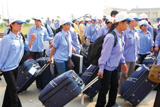 Chỉ thị của Ban Bí thư về tăng cường sự lãnh đạo của Đảng đối với công tác đưa người lao động Việt Nam đi làm việc ở nước ngoài