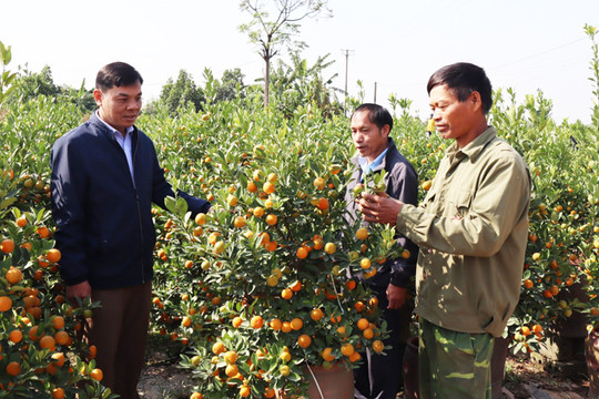 Hoàn thành thẩm định nông thôn mới nâng cao tại 6 xã của huyện Thanh Trì