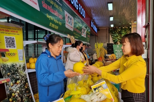 Hà Nội: Khai trương Điểm giới thiệu và bán sản phẩm OCOP tại huyện Ứng Hòa