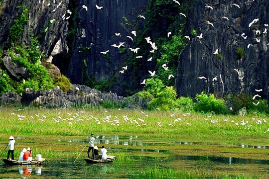 Việt Nam xếp thứ 16 thế giới về đa dạng sinh học