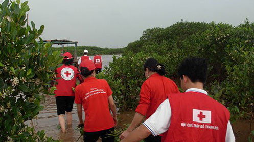 Năm 2023, Hội Chữ thập đỏ Việt Nam dự kiến hỗ trợ cho ngư dân 207 tỷ đồng