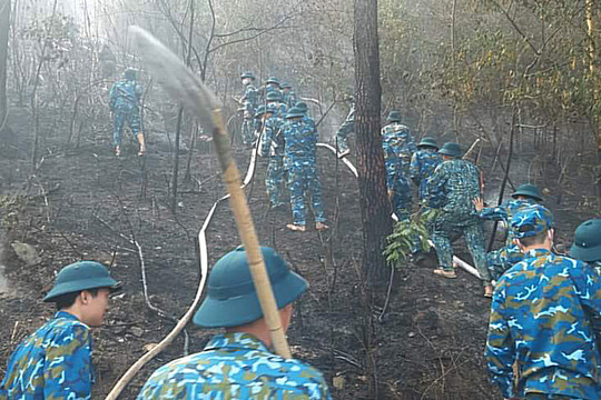 Huyện Sóc Sơn huy động các lực lượng dập lửa cứu rừng ngày Tết Dương lịch