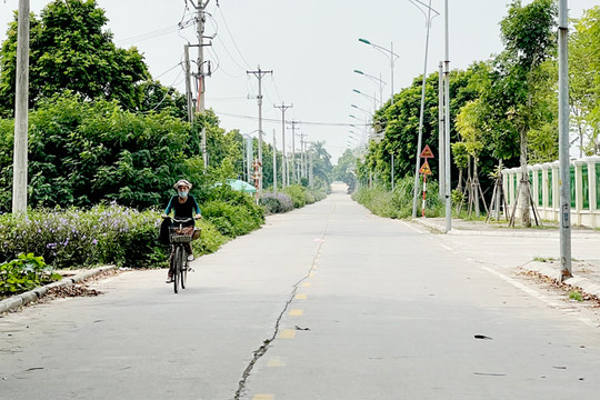 Phê duyệt chỉ giới đường đỏ tuyến đường rộng 17,5m tại huyện Thanh Trì