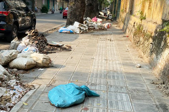Mất vệ sinh môi trường tại phố Trần Thánh Tông