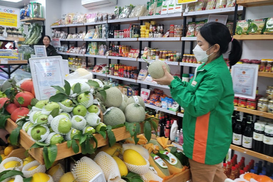 Hà Nội cấp biển nhận diện an toàn cho toàn bộ cửa hàng kinh doanh trái cây