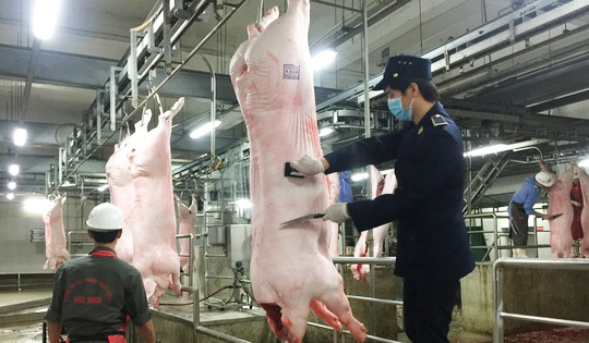 Chỉ thị của Thủ tướng Chính phủ về việc tăng cường công tác quản lý, kiểm soát giết mổ động vật