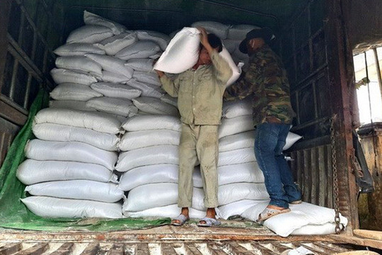 Xuất cấp gạo cho 7 tỉnh dịp Tết Quý Mão và giáp hạt năm 2023