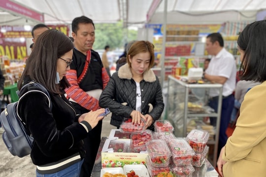 Cần có biện pháp điều hành, bình ổn giá sau Tết và cả năm 2023
