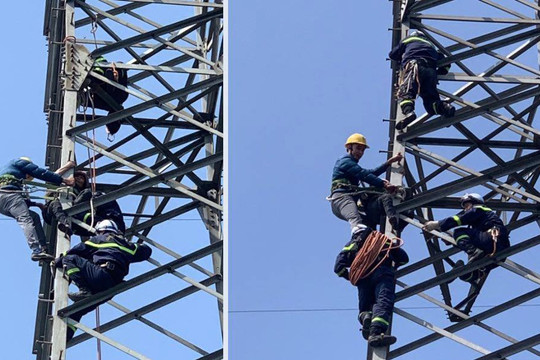 Giải cứu thành công một phụ nữ trèo lên cột điện cao thế