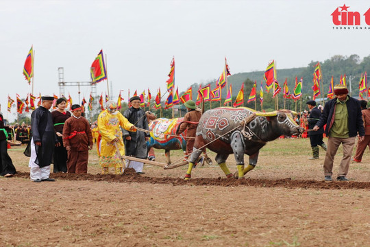 Tái hiện nghi lễ vua Lê Đại Hành cày Tịch điền tại Lễ hội Tịch điền Đọi Sơn 2023