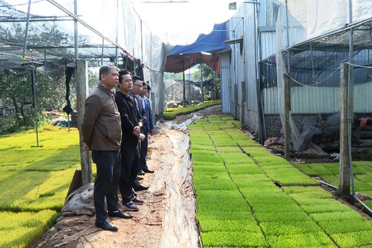 Nông dân huyện Phú Xuyên sẵn sàng cho vụ sản xuất lớn nhất trong năm