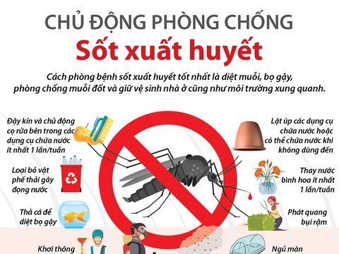 Thành phố Hồ Chí Minh: Số ca mắc sốt xuất huyết và tay chân miệng đều giảm mạnh