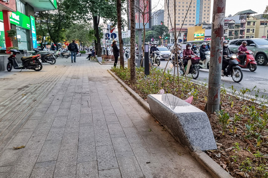 Hàng loạt ghế đá 'mini' được lắp đặt dưới hàng hoa sữa cổ thụ ở Hà Nội