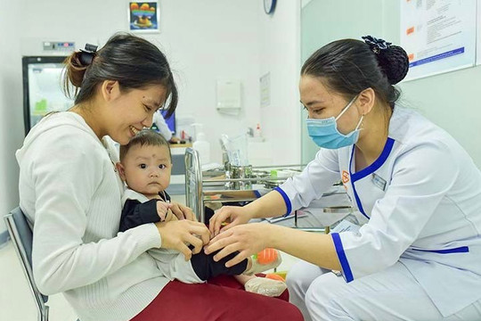 Nhu cầu tiêm vắc xin phòng dại tăng đột biến