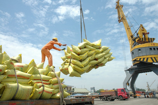 Xuất khẩu gạo tháng 1-2023 đạt 203 triệu USD