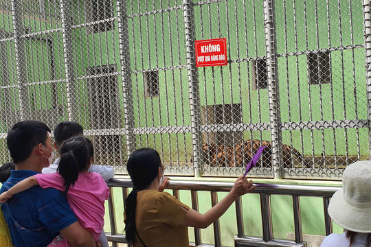 Đề xuất mở rộng Vườn thú Hà Nội và mua thêm một số loài động vật