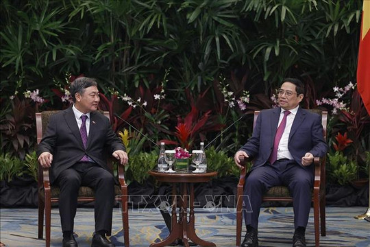 Thủ tướng Phạm Minh Chính tiếp các doanh nghiệp hàng đầu Singapore