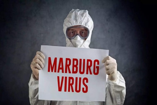 Vi rút Marburg nguy hiểm nhưng chưa thể lan ra toàn cầu cũng như đến Việt Nam