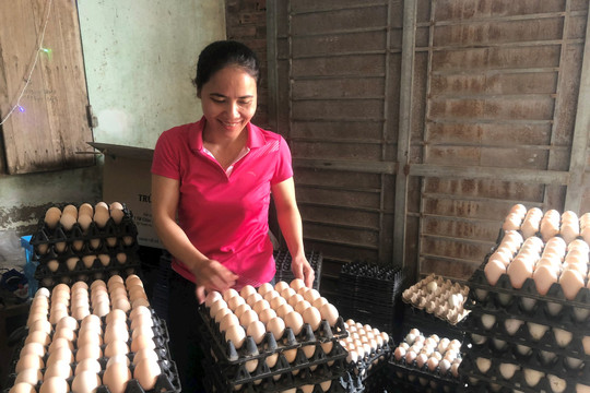 Huyện Thanh Oai: Không kêu gọi ''giải cứu'' trứng gà, vịt Liên Châu