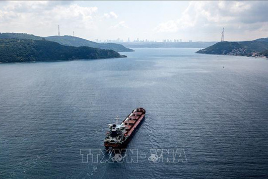 Thỏa thuận ngũ cốc Biển Đen có thể được thảo luận ở cấp cao nhất giữa Nga và Thổ Nhĩ Kỳ
