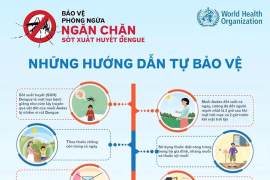 Thành phố Hồ Chí Minh phát sinh 32 ổ dịch sốt xuất huyết trong tuần qua
