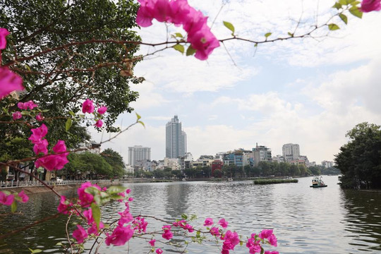 Quận Ba Đình cải tạo, nâng cấp 3 vườn hoa trong năm 2023