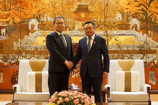 Thiết thực hướng tới kỷ niệm 50 năm thiết lập quan hệ ngoại giao Việt Nam - Nhật Bản