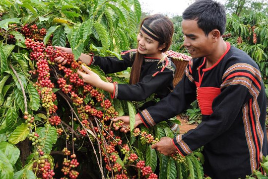 Tăng giá trị cho cà phê Việt Nam