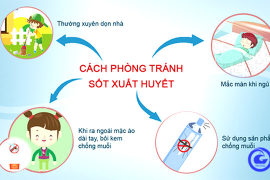 Số ca sốt xuất huyết tại thành phố Hồ Chí Minh tiếp tục giảm