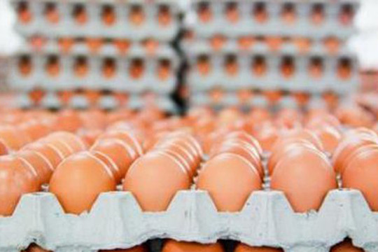 Đề xuất hạn ngạch thuế quan nhập khẩu muối, trứng gia cầm năm 2023
