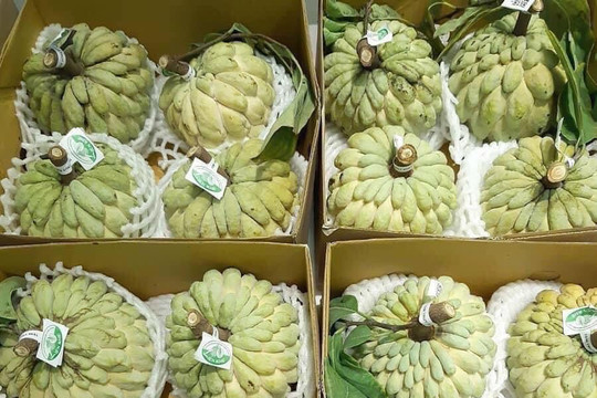 “Rộng cửa” cho trái cây Việt Nam sang thị trường Trung Quốc
