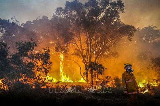 Nhiều bang tại Australia cấm đốt lửa để tránh nguy cơ hỏa hoạn