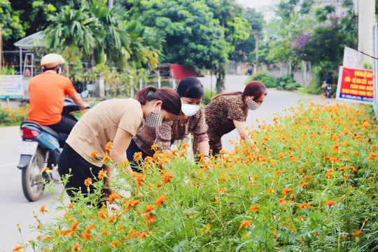 Huyện Thạch Thất:  Phụ nữ sống xanh vì một cộng đồng lành mạnh
