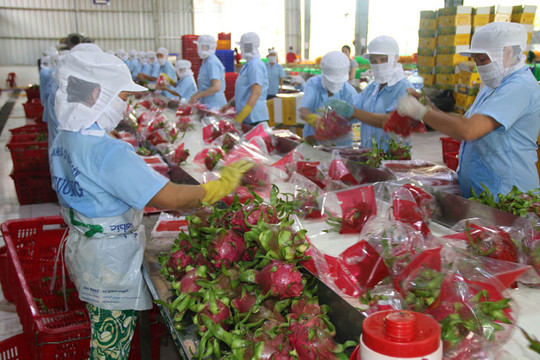 Yêu cầu giám sát, kiểm tra doanh nghiệp xuất khẩu nông sản sang Trung Quốc