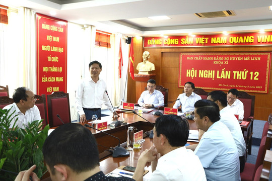 Đảng bộ huyện Mê Linh tập trung củng cố 3 tổ chức Đảng trong diện theo dõi
