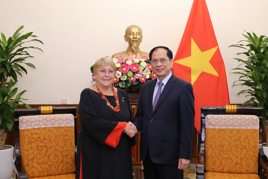 Việt Nam luôn coi trọng mối quan hệ Đối tác toàn diện với Chile