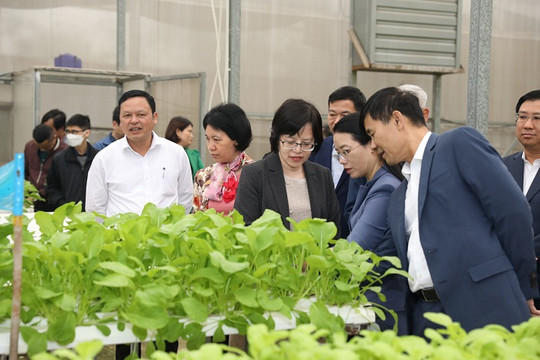 Huyện Gia Lâm chú trọng triển khai các chính sách về nông nghiệp, nông thôn