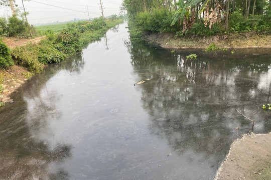 Cần tìm căn nguyên gây ô nhiễm môi trường kênh Hòa Bình (Thanh Oai)