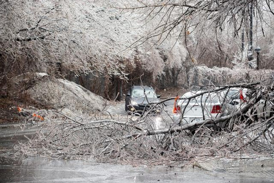 Canada: Bão tuyết tồi tệ nhất trong vòng 20 năm gây thiệt hại lớn