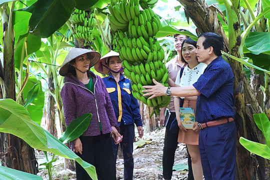 Bảo vệ thương hiệu nông sản Việt
